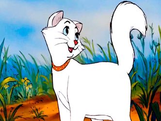 What Is The Name Of This Famous Fictional Cat?