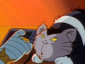 This Fictional Cat Appears In Which TV Cartoon?
