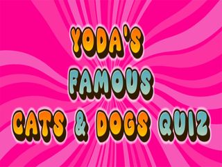 Yoda's Famous Cats & Dogs Quiz