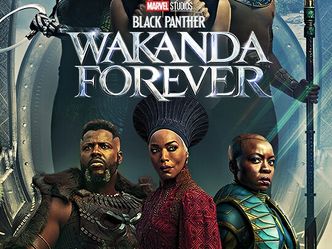 Black Panther is set in which fictional country?