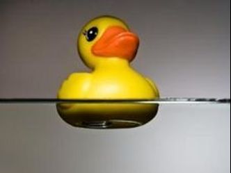 What are the two examples of Buoyancy: 
A ball and ...