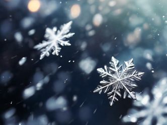 Which of the following is NOT a type of snowflake?