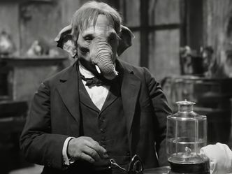 Which Victorian figure was known as the 'Elephant Man'?