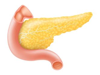 Which of these hormones are produced by the pancreas?