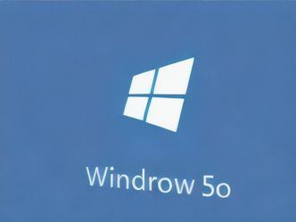 Which company developed the Windows operating system?