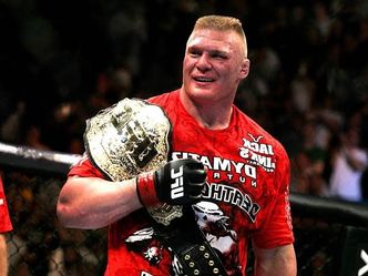 Which fighter took the Heavyweight belt from Brock Lesnar?